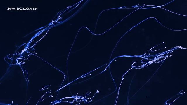 Многие не понимают опасности, в которой находятся смотреть онлайн