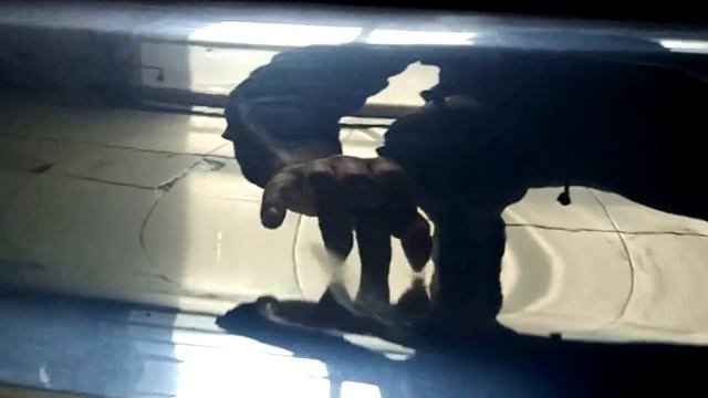 Антигравийная пленка TITAN проглатывает царапины смотреть онлайн