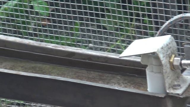 Самодельная автоматическая поилка для индюков и другой крупной птицы смотреть онлайн