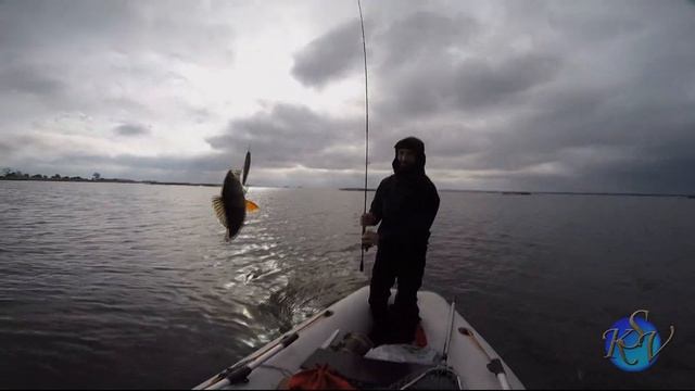 Окуни размером с Щуку! С такими окунями и щука не нужна! Рыбалка с ночевкой Часть 2 я Часть смотреть онлайн