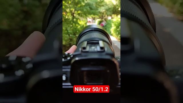 Nikkor S 50/1.2 смотреть онлайн