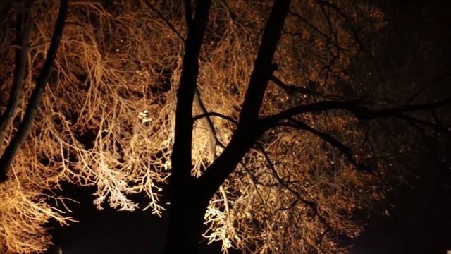Слово Архипастыря: Герои нашего времени смотреть онлайн