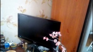 Распаковка и запуск процессора Xeon E3 1240 v2