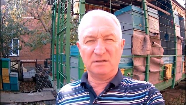 Собрать гнездо пчел на зимовку.Почему к осени слабеют семьи пчел? смотреть онлайн