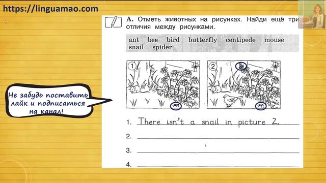 Forward 2 Activity book страница 55 урок 19 упражнения A решебник ГДЗ смотреть онлайн