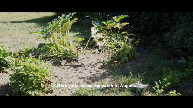 [Story09] - Our one year journey of homegrown vegetables I beginner mistakes and final harvest смотреть онлайн
