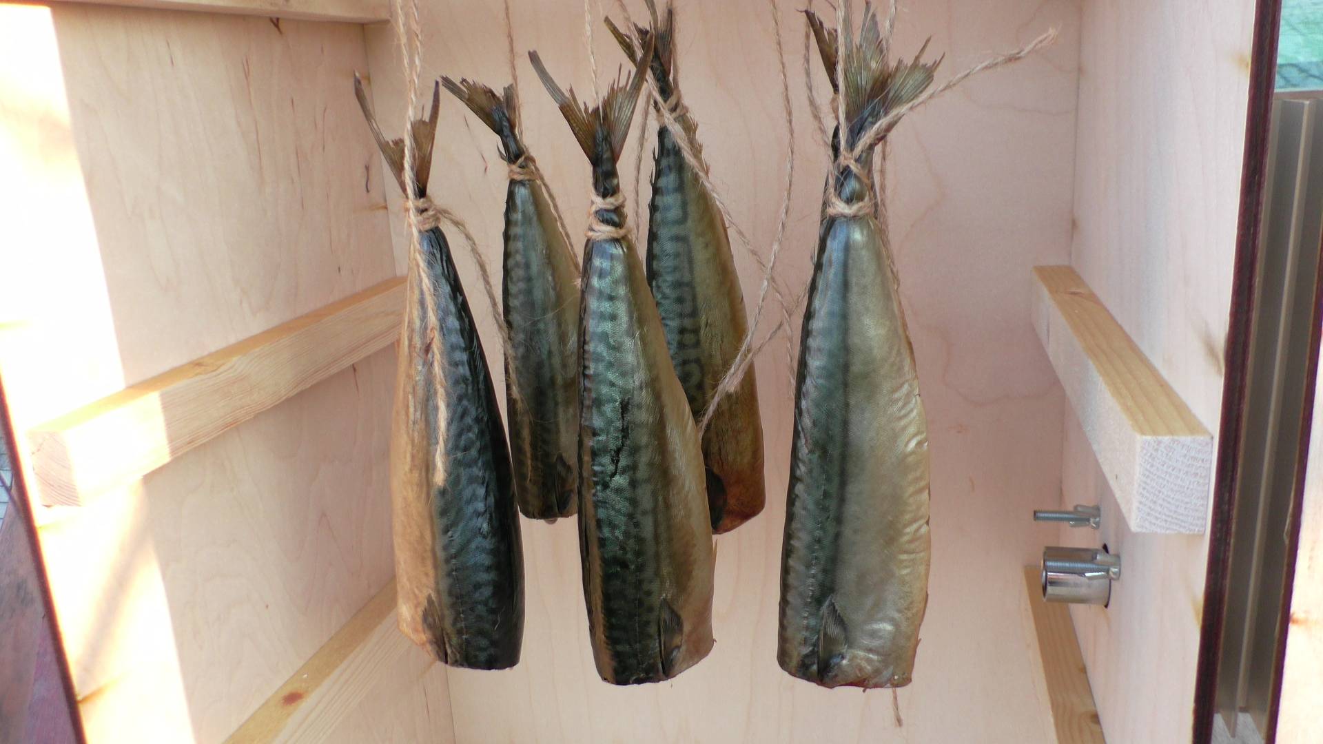 Скумбрия холодное копчение. Быстро,просто и очень вкусно! смотреть онлайн