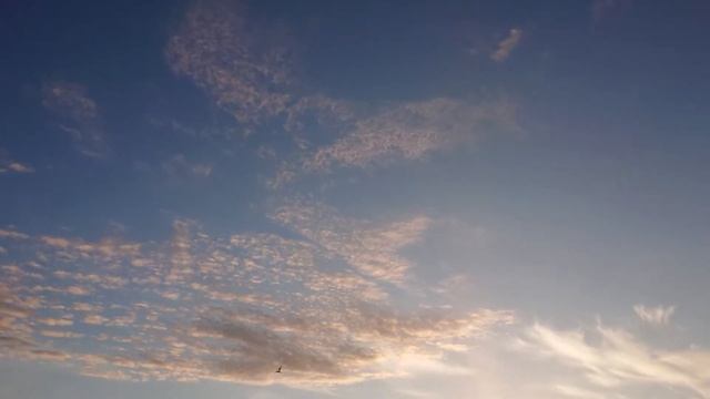 Ольга Гранина - Я хочу на берег моря полететь смотреть онлайн