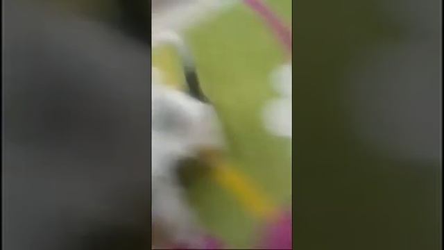 Мне Подарили Щенка смотреть онлайн