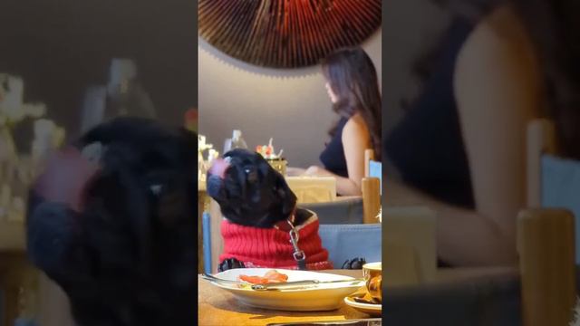 Когда зашел голодный в кондитерскую🌚 смотреть онлайн