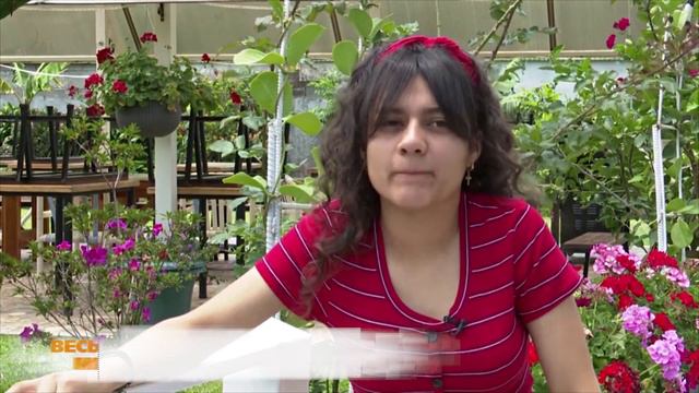 КОСТА РИКА БОЛЬШАЯ СЕМЬЯ НА КАРАНТИНЕ смотреть онлайн