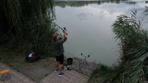 Ловля карпа  | Ловля карпа на флэт метод