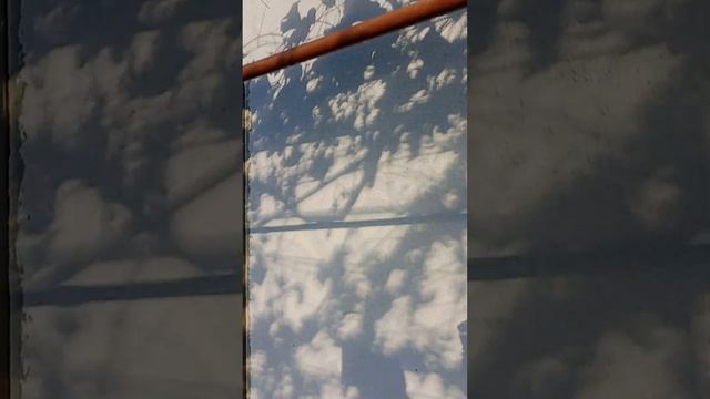 6 листопада 2023 р. смотреть онлайн