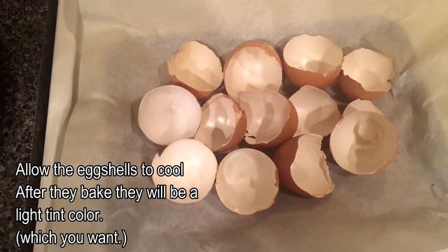 ?Doggie Eggshell ?Powder. смотреть онлайн