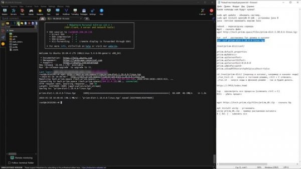 Установка Сетевого Узла Prizm Core на linux ubuntu - терминал | VDS | VPS | Выделенный Сервер.