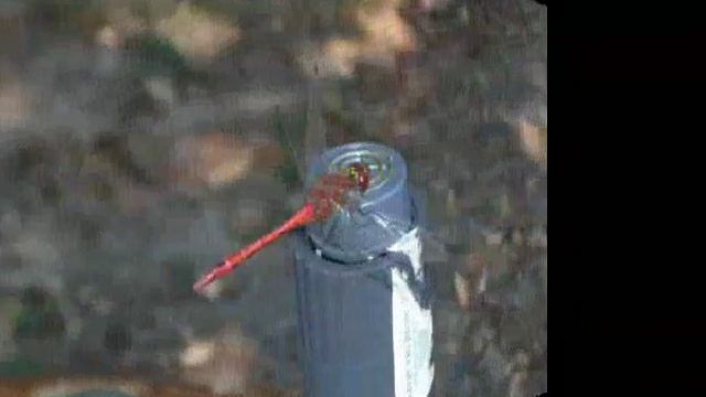 Сула 2010.wmv смотреть онлайн