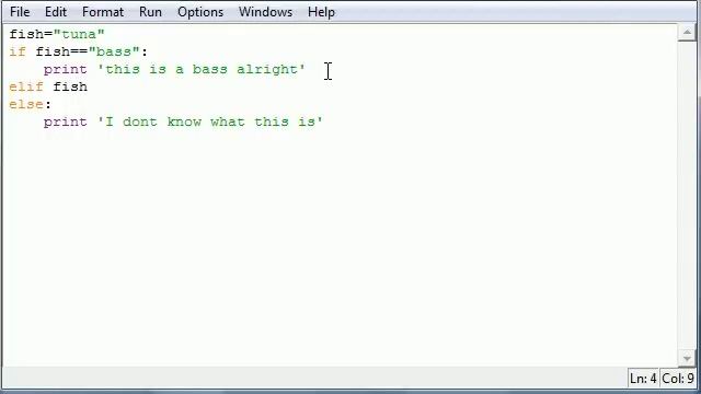 Python Programming Tutorial - 21 - else and elif смотреть онлайн