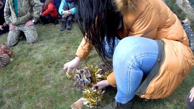 Съемки в Тайгане смотреть онлайн
