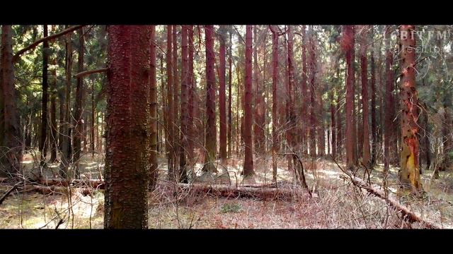 O.M.F.O - Siberian Abracadabra / Сибирская Абракадабра // video: Alex BF смотреть онлайн