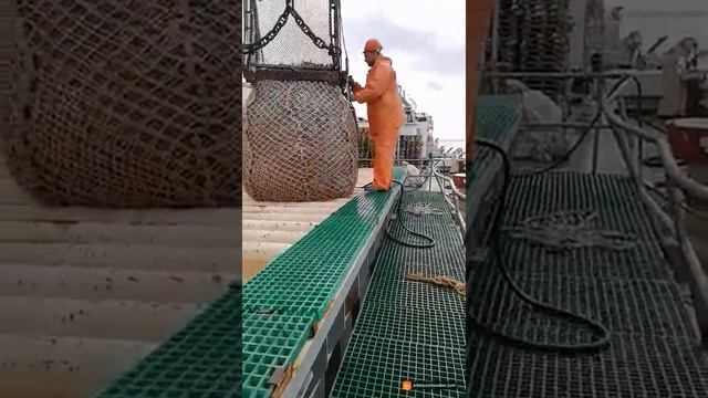 Добыча рыбы смотреть онлайн