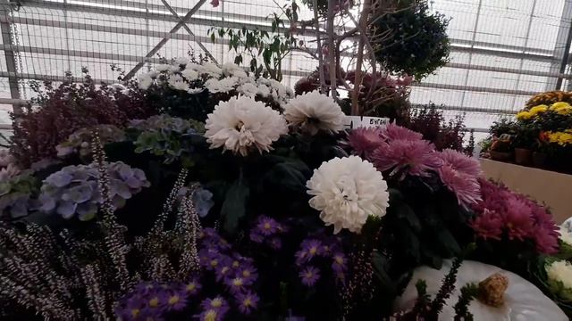 Москва. Фестиваль 