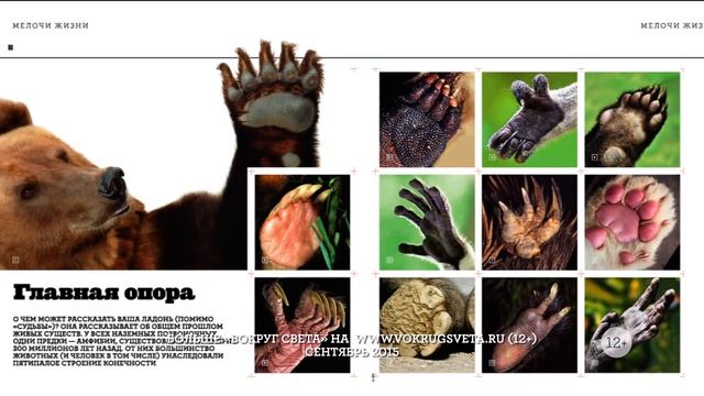 Анонс журнала Вокруг Света №9 2015 года смотреть онлайн