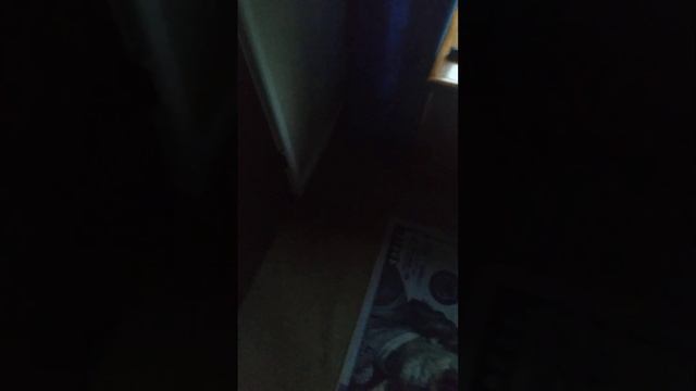 Bedsheets for curtains #cheapskates #easy #country #funny #hacks #home #bedroom #curtains #hillbill смотреть онлайн