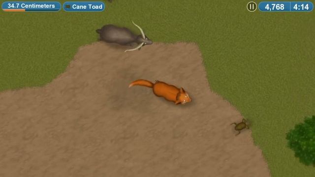 ПЕСИК ДИНГО съел всех чтобы спасти АВСТРАЛИЮ игра Tasty Planet Forever на канале Мистер Игрушкин смотреть онлайн