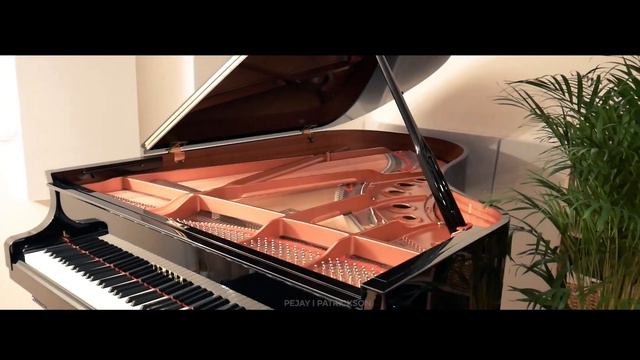 Ludovico Einaudi - Divenire