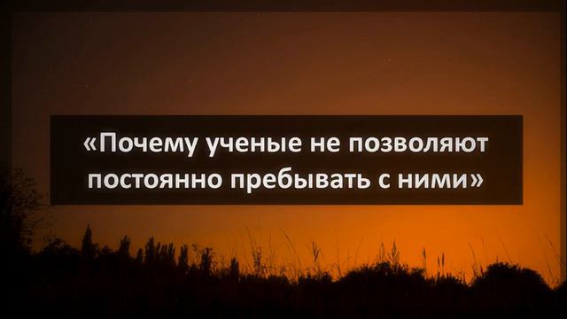 Ринат Абу Мухаммад «Почему ученые не позволяют постоянно пребывать с ними» смотреть онлайн