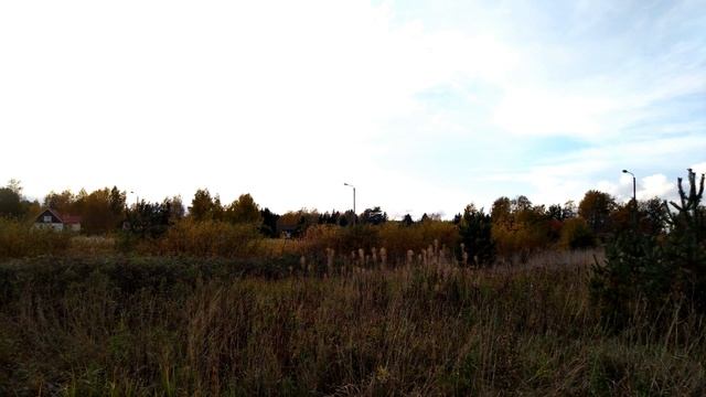 Nubia Z11mS footage from LumioCam app смотреть онлайн