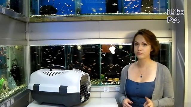 Как выбрать переноску для кошки на ilikepet смотреть онлайн