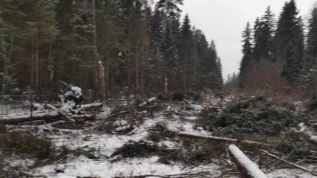 24.12.2020г. Хроники строительства Северного обхода Лобни-2 смотреть онлайн