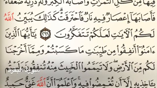 سورة البقرة - Holy Quran - Chapter 2 - Page 45 смотреть онлайн