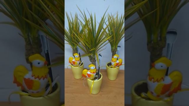 Dracaena bicolor as an Easter decoration смотреть онлайн