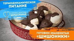 Бомба: доктор Шишонин на кухне