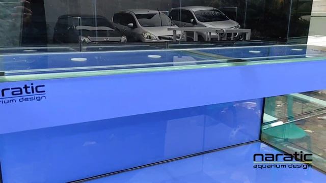 AQUARIUM PREDATOR FISH WITH ORACAL BRILLIANT BLUE смотреть онлайн