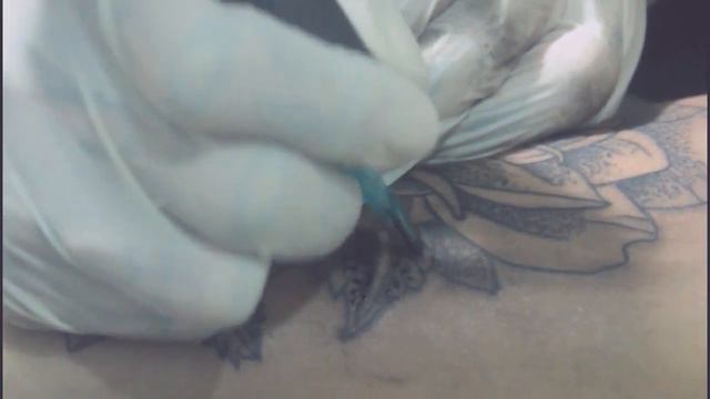 Getting my third tattoo! | Acacia Brinley roses смотреть онлайн