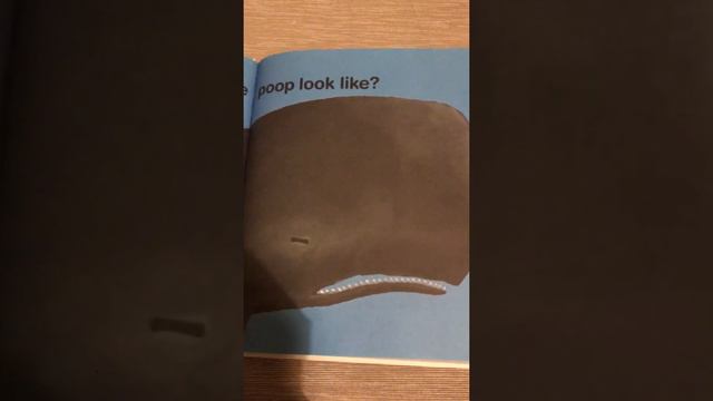 EVERYONE POOPS by Taro Gomi, Translated by Amanda Mayer Stinchecum, Read by Liz Marquez смотреть онлайн