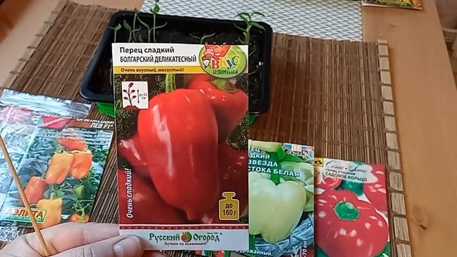 Результаты всхожести семян перца и баклажанов две недели после посева. Сезон 2022 г. смотреть онлайн