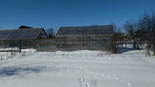 Как перезимовала деревянная теплица