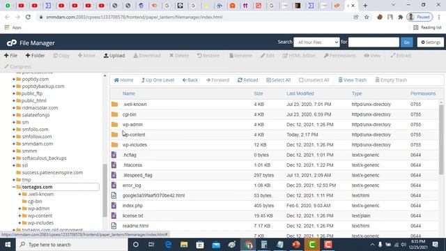 How to Redirect All 404 Pages to Home Page in WordPress смотреть онлайн