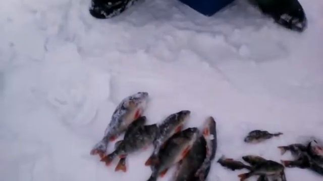 Рыбалка в Марксе смотреть онлайн