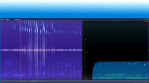 Звук летучей мыши