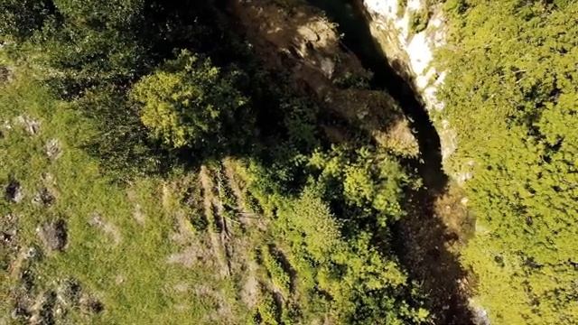 Быстрое Расслабление Нервной Системы Журчание Ручья Горы Лес Птички Глубокий Релакс