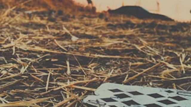 Merrimac Beats - "Papaya Hat" (lofi hip-hop beat) смотреть онлайн
