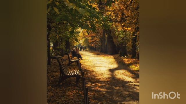 Размышление на прогулке (Cover)