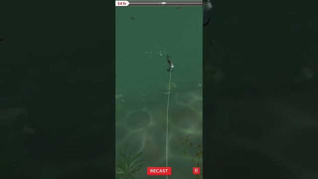 Rapala Fishing - Daily Catch - iOS Android Gameplay смотреть онлайн