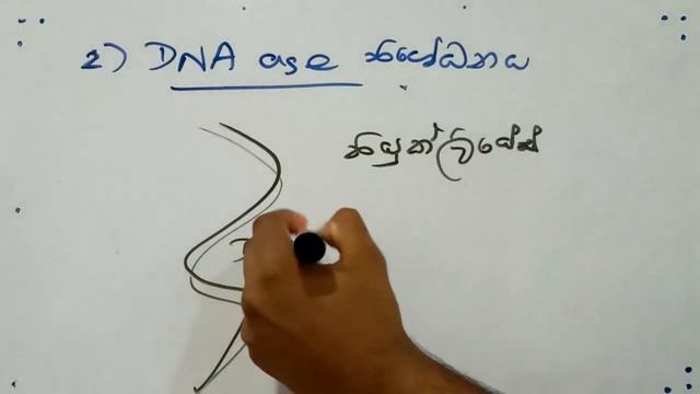 අණුක ජීව විද්යාව සහ ප්රතිසංයෝජිත DNA තාක්ෂණය (3 කොටස) [ජාන තාක්ෂණය i කොටස] -Learn with Thimeesha смотреть онлайн