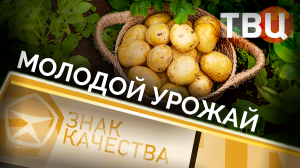 Молодой урожай. Знак качества